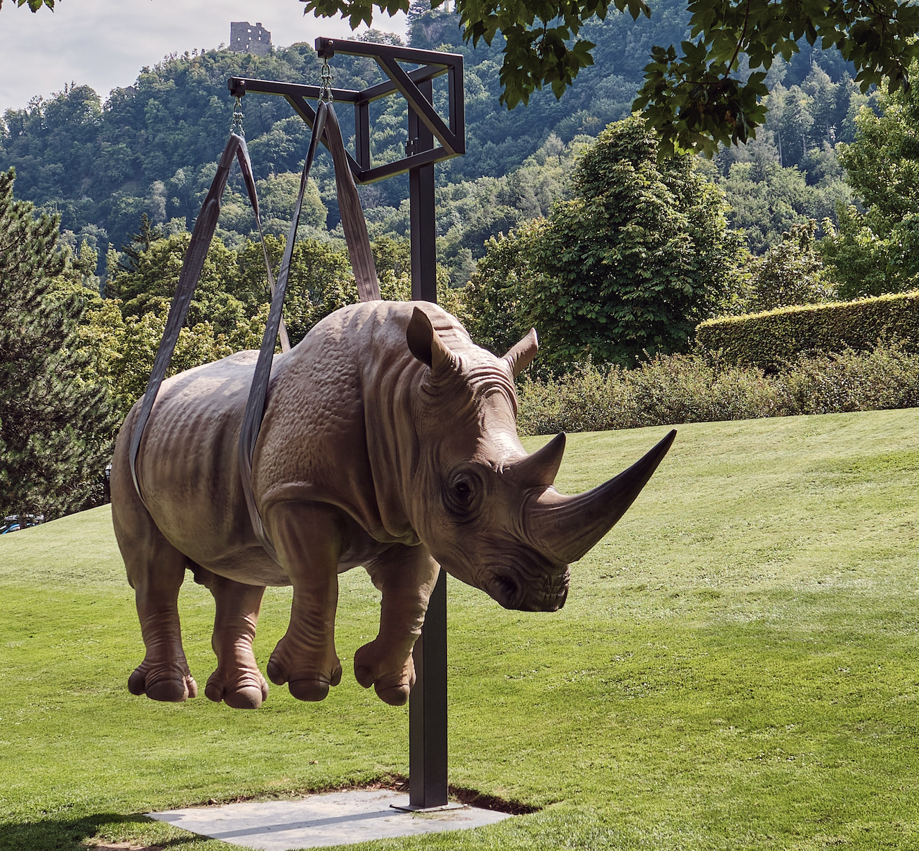 a rhino suspended by straps